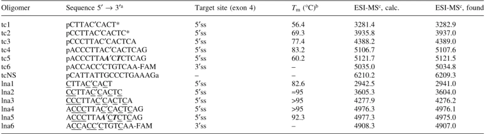 Table 1. Oligonucleotides prepared and used in this study