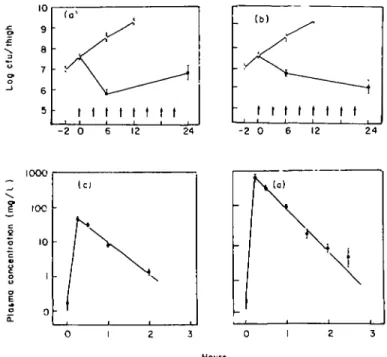 Figure 2. Comparative in-wvo killing patterns of a 3-h schedule of gentamicin (a), and ticarcillin (b\