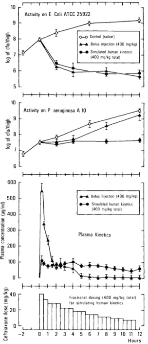 Figure 3. Human vs. murine plasma kinetics of ceftri- ceftri-axone and activity against E