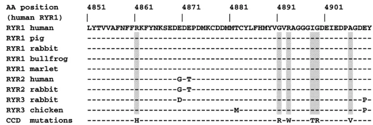 Figure 1. Alignment of the C-terminal amino acid sequences of nine vertebrate RYR genes