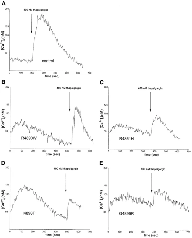 Figure 2. EBV-immortalized B cells from CCD patients carrying the Arg4893Trp, Arg4861His, Ile4898Thr and Gly4899Arg mutations ‘spontaneously’ release calcium from intracellular stores