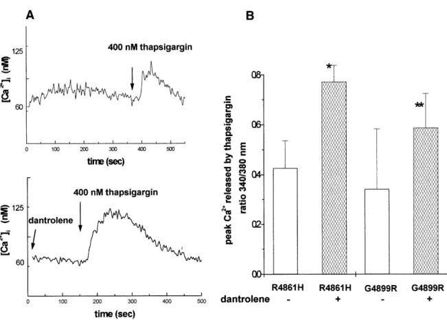 Figure 5. Dantrolene blocks the Ca 2+  release from intracellular stores observed in the absence of pharmacological activators and increases the peak calcium released by thapsigargin
