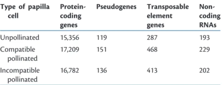 Table 2 Categorization of papilla cell expressed genes in unpolli- unpolli-nated, compatible pollinated and incompatible pollinated papilla cells Type of papilla cell Protein-coding genes Pseudogenes Transposableelementgenes  Non-codingRNAs Unpollinated 15