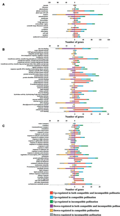 Fig. 3 Functional classification of DEGs pre- and post-pollination. Six sets of DEGs in compatible, incompatible and both pollinations were classified into three Gene Ontology (GO) categories: (A) cellular components, (B) molecular functions and (C) biolog