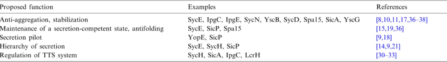 Fig. 4. TTS chaperones as regulators of expression. In the absence of contact with a eukaryotic cell, the chaperones are bound to their cognate proteins, and transcription of the TTS-related genes is kept at a basal level