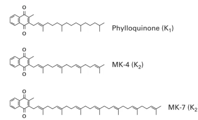 Fig. 1. Chemical structures of K vitamins. MK, menaquinone.