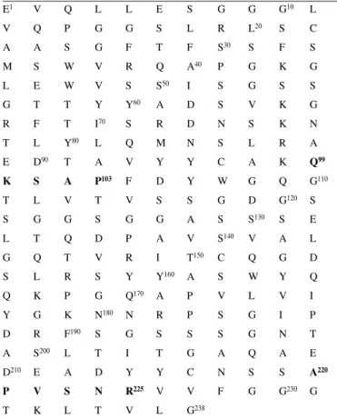Figure 2. Anti ED-B antibodies identified after three rounds of colony filter screening