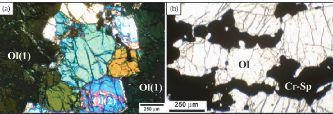 Fig. 9. Photomicrograph of dunite textures. (a) Trails of small olivine blasts cross-cutting a larger olivine grain