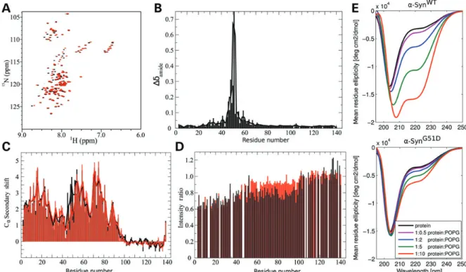 Figure 2. The G51D mutation disrupts local helix formation in the presence of SDS, decreases binding to lipid vesicles C-terminal to the site of mutation and severely inhibits helical folding in the presence of acidic vesicles