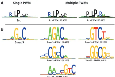 Figure 4. Example sequence logos. The logo on the left is generated from a single PWM and the logos on the right are generated from multiple PWMs using MUSI