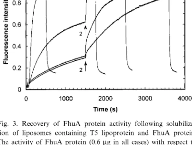 Fig. 3. Recovery of FhuA protein activity following solubiliza- solubiliza-tion of liposomes containing T5 lipoprotein and FhuA protein.