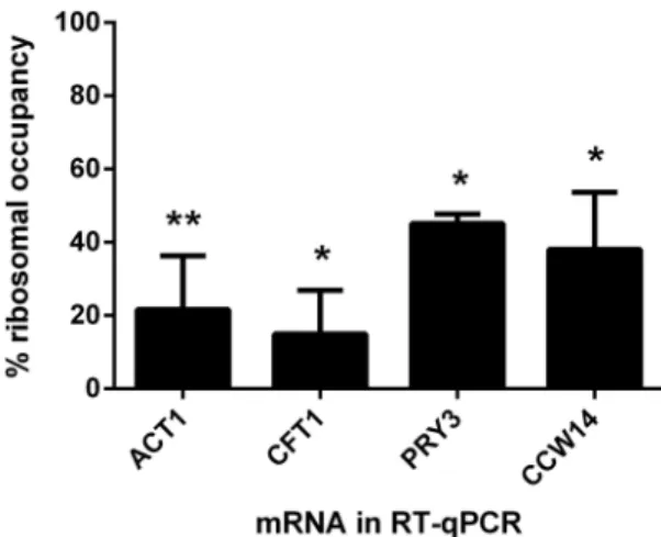 Figure 4. The ribocc of several mRNAs decreases in scp160 cells.