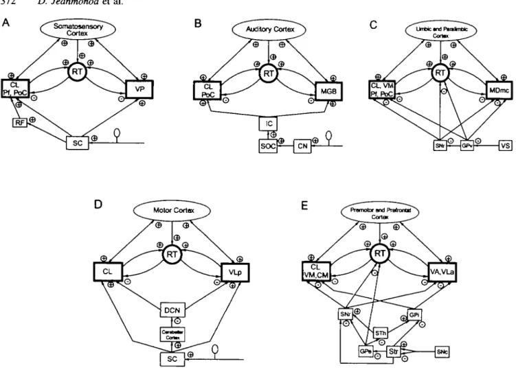 Fig. 7A-E This series of diagrams displays the relevant connectional data for each system affected by the positive symptoms studied and collected by modem tract tracing methods