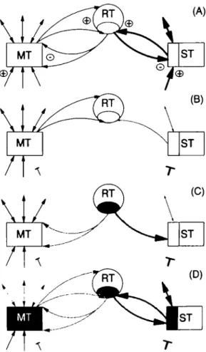 Fig. 5 Relative distribution of the four defined types of unit activities in the five positive symptoms studied: rhythmic bursting (black), random bursting (obliquely hatched), sporadic (white) and sporadic with evoked response (vertically hatched), n = nu