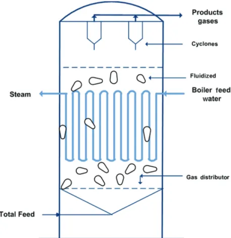 Figure 9 FFB reactor configuration