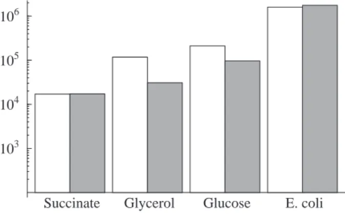 Fig. 3. Logarithmic bar chart showing the number of candidates generated by the two algorithms