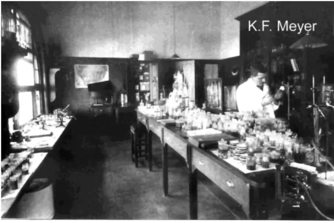 Figure 4. KF Meyer at work in the pathology laboratory at Onderstepoort, Pretoria.