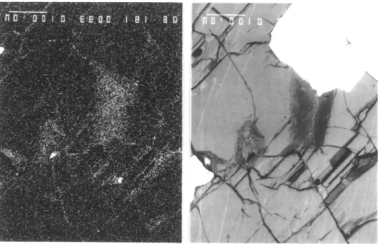 FIG . 2. Backscatter electron (top) and carbon X-ray (bottom) micrographs of a polished surface of a sample of the G chromitite, Stillwater Complex