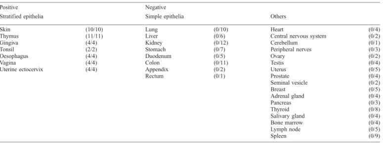 Table 1. Reactivity of LEKTI antibodies on normal human tissues