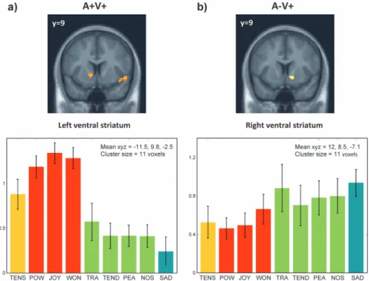 Figure 5. Lateralization of activations in ventral striatum. Main effect for the quadrants AþVþ (a) and AVþ (b) showing the distinct pattern of activations in the ventral striatum for each side