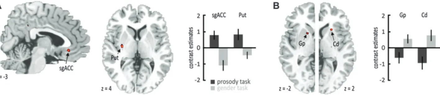 Figure 4. Specific functional activations as revealed by the interaction analysis for angry compared with neutral voices during (A) the explicit prosody categorizations task in the sgACC and (B) during the implicit gender decision task in the left globus p