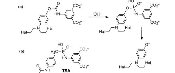 Fig. 3 (a) Carbamate prodrug and its conversion via a B Ac 2 mechanism into the phenolic mustard; (b) transition- transition-state analog.