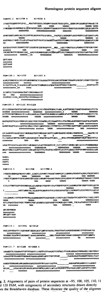 Table I. Identification of the true evolutionary relationships between artificially constructed homologous sequence pairs using different scoring matrices