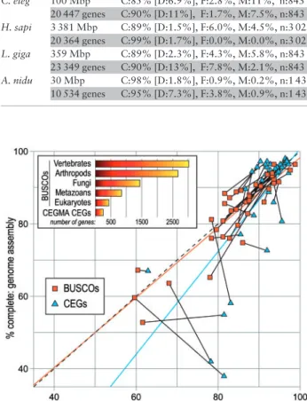 Fig. 1. BUSCO assessment workflow and relative run-times