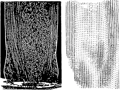Fig. l Ebener Schnitt durch das momentane Strömungs- Strömungs-feld einer mechanischen Zweiflügel-Herzklappe