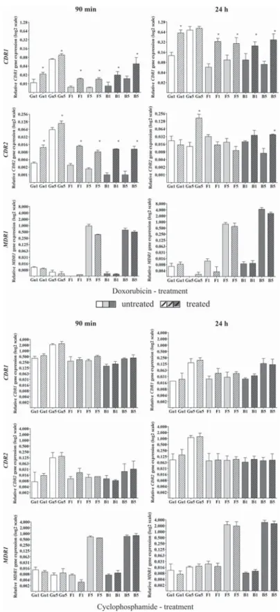 Fig. 1   Results of   CDR1 ,   CDR2  and  MDR1  gene expression analyses. Clinical isolates were cultivated in the presence or absence of 20   μ g/ml  doxorubicin or cyclophosphamide, respectively