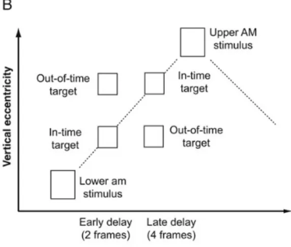 Figure 1. Stimuli and experimental design. ( A ) Schematic depiction of the visual stimulus (not in scale)