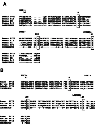 Figure 3. A. Comparison of the predicted **"inn acid sequences of lnTimn factors VD (17), DC (18), X (19) and protein C (PrQ (20) beginning at resklue 46:  EOF-UlPB domailM 1 and 2, pirn thr ltnlrfng rryinn m thrr»i+»-ny li*||||iini| nf (far HgM rlu*BM