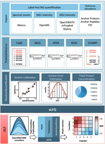Fig. 1. Diagram for exemplary aLFQ workflow with TopX transition and TopN peptide model selection to mediate estimation of protein  abun-dance using SIS peptides