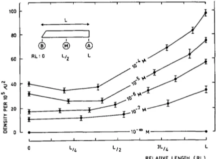 Fig. 3. Changes in the density of the &#34;cracks&#34; (expressed by the number of &#34;cracks&#34; per llfiimfi ^standard error) along the subapical segments of wheat coleoptiUs treated 24 hr with IAA at several concentrations (0 to I0~* M).