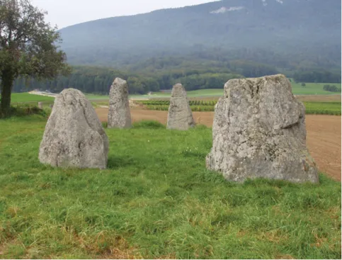 Figure 1. The archaeological site of Corcelles-Concise (CH).