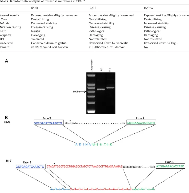 Table 2. Bioinformatic analysis of missense mutations in ZC4H2