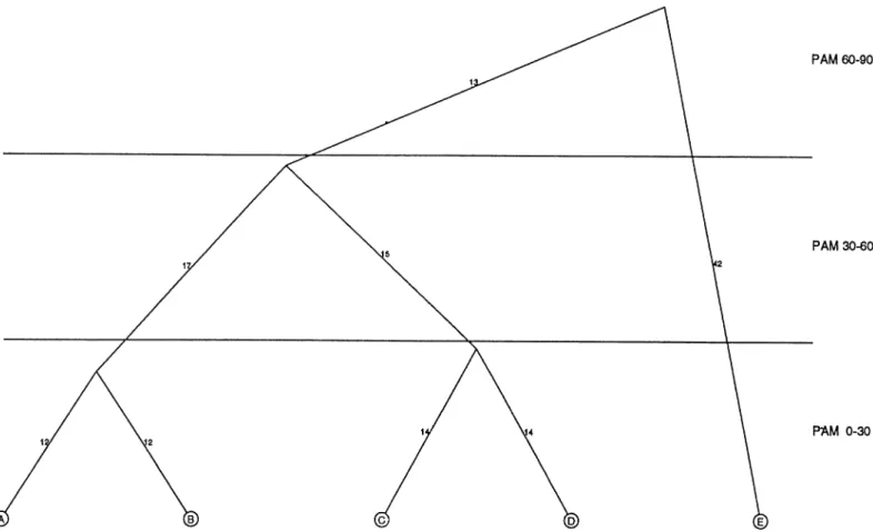 Fig. 2. Phylogenetic tree of a hypothetical protein family consisting of five sequences A–E