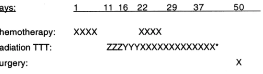 Figure 1. Treatment scheme.