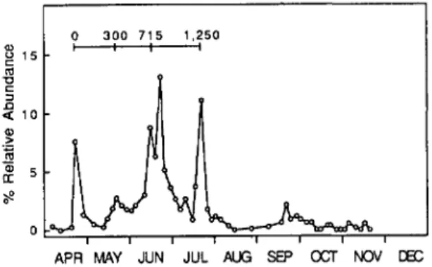 Fig. 2. Seasonal yellow water-pan trap catches of D. radicum flies at Scaly Mountain, NC in 1987 (A), 1988 (B), 1989 (C), and 1990 (D).
