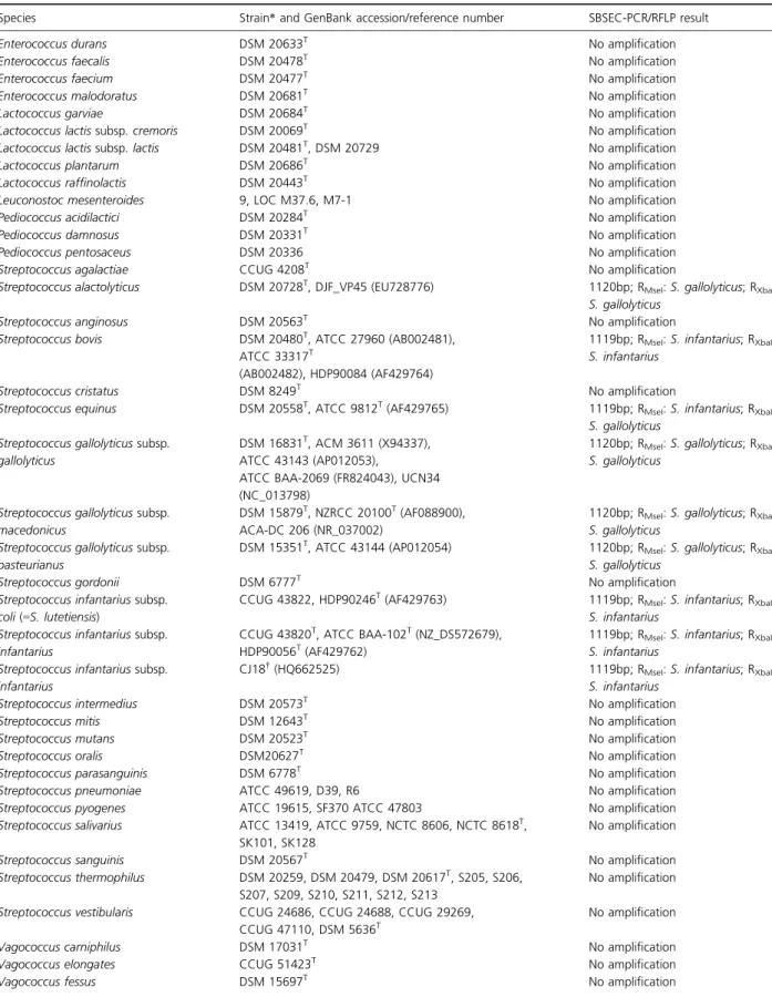 Table 1. Reference and type strains including GenBank accession numbers used for primer design and controls during the SBSEC-PCR assay targeting specifically the 16S rRNA gene of members of the SBSEC