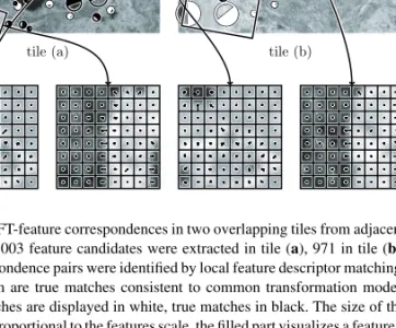 Fig. 3. SIFT-feature correspondences in two overlapping tiles from adjacent sections. 1003 feature candidates were extracted in tile (a), 971 in tile (b).