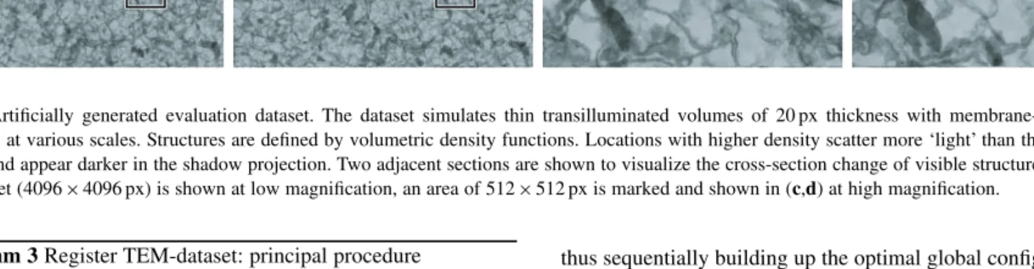 Fig. 4. Artificially generated evaluation dataset. The dataset simulates thin transilluminated volumes of 20 px thickness with membrane- and blob-like structures at various scales
