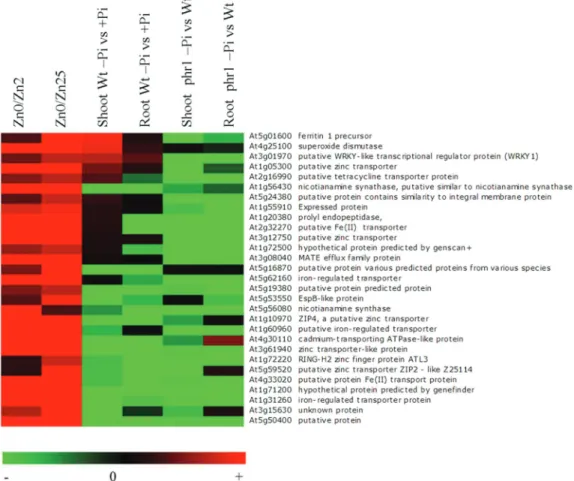 Fig. 1.  Effects of varying concentrations of zinc and phosphate on the expression levels of Zn starvation response genes in Arabidopsis