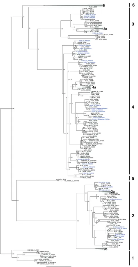 Figure 2. Maximum likelihood tree based on concatenated core/E1 (869 – 1292 on H77 reference) and NS5B (8276 – 8615 on H77 reference) nucleotide sequences