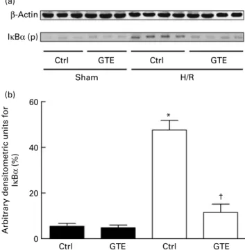 Fig. 4. Green tea extract (GTE) modifies IkBa phosphorylation after haemor- haemor-rhage and resuscitation