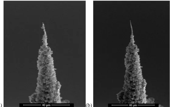 Figure 1. (a)  A W needle plunge frozen and imaged via cryo-SEM  showing ice crystal contamination  prior to cryo-FIB final preparation