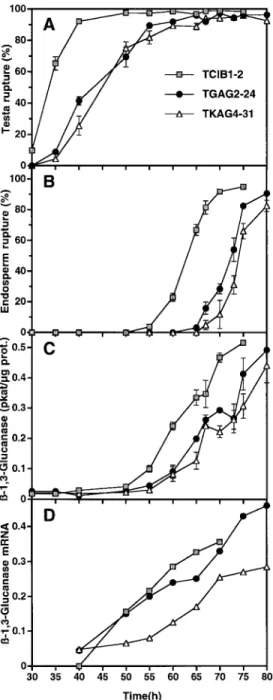 Fig. 2. The effect of antisense bGLU I transformation on the time- time-course of bGLU I induction during germination of after-ripened homozygous seed