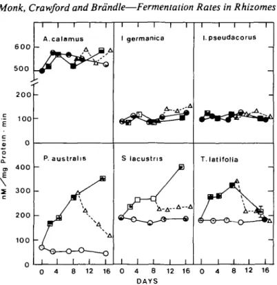 FIG. 2. ADH activity of rhizomes under air (Q—QX under N 2  (0—H), and during further incubation in air subsequent to anoxia (A A)