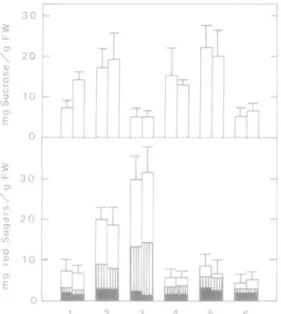FIG. 4. Concentrations of various sugars in the rhizome after 16 d in air and 15 d in N 2 