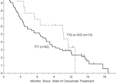 Figure 3. Progression-free survival by KRAS let-7 lcs6 polymorphism in KRASwt patients treated with cetuximab monotherapy.